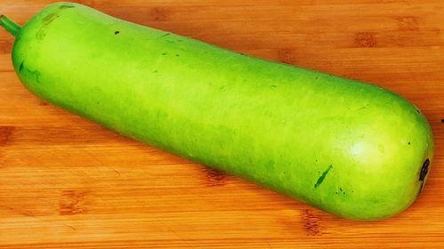 吃瓜大鱼,网络红人的崛起与影响力