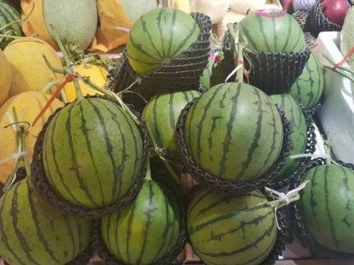 小包厢吃瓜,揭秘娱乐圈幕后故事