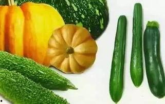 张念吃瓜,揭秘娱乐圈幕后故事