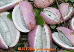 恩施最新吃瓜事件