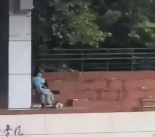 高校护栏吃瓜视频,校园生活趣味横生