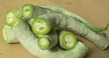 蛇瓜多长可以吃,何时采摘最适宜食用