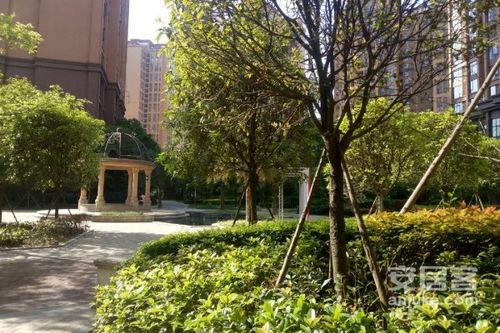 林华府吃瓜,揭秘娱乐圈背后的秘密与八卦