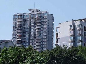 林华府吃瓜,揭秘娱乐圈背后的秘密与八卦 第2张 林华府吃瓜,揭秘娱乐圈背后的秘密与八卦 第2张